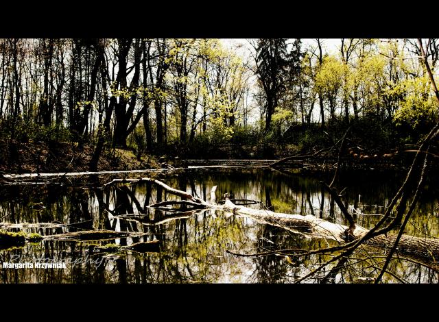 thriller spring