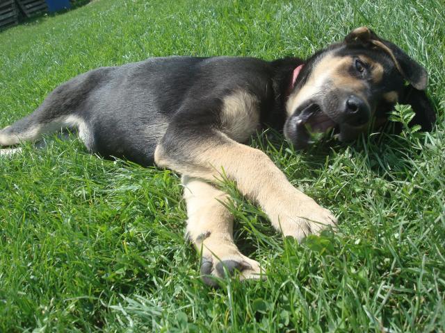 Tytus :3