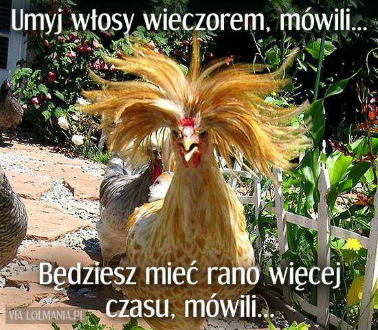 Wpis slimxxs