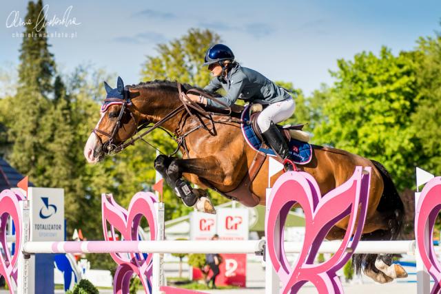 Wpis equinephoto
