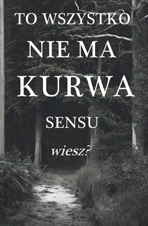 Wpis syla12321
