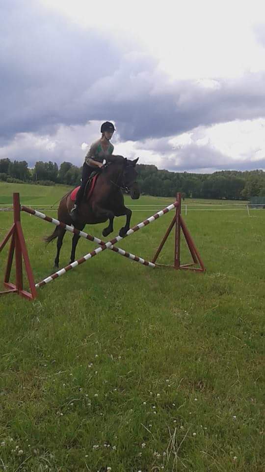 Linka 