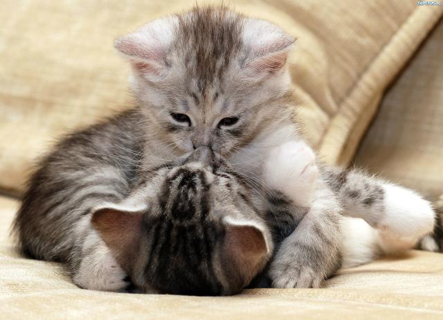 Kiss me
