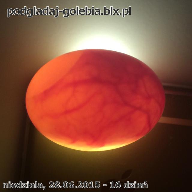 28 czerwca 2015
