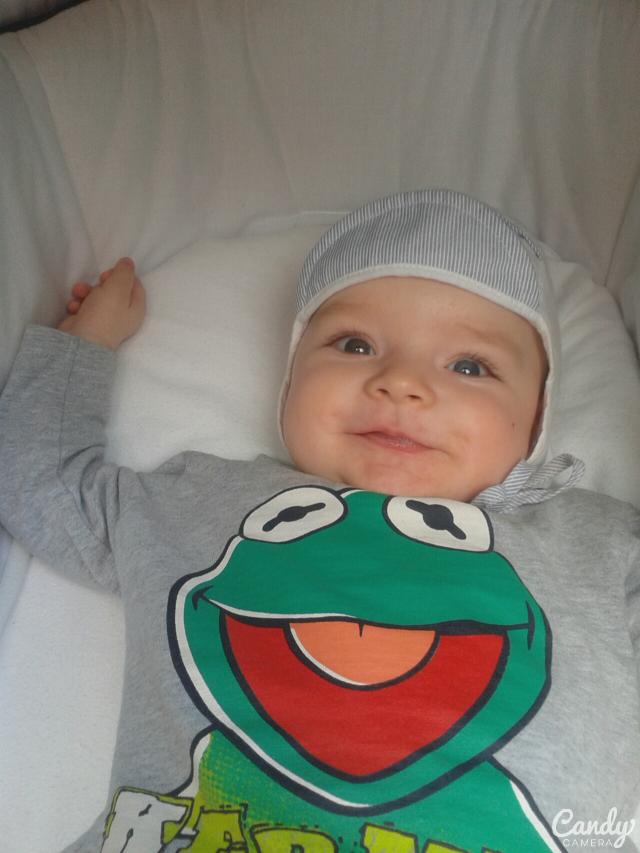 Wpis claudusiiaa