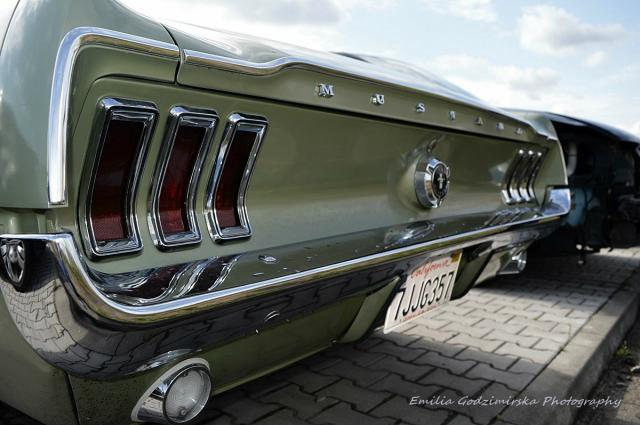 Mustang
