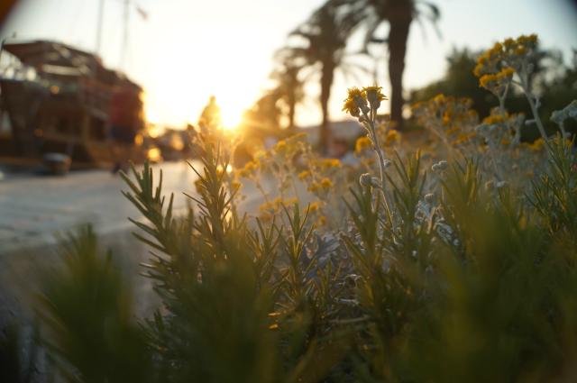 Makarska