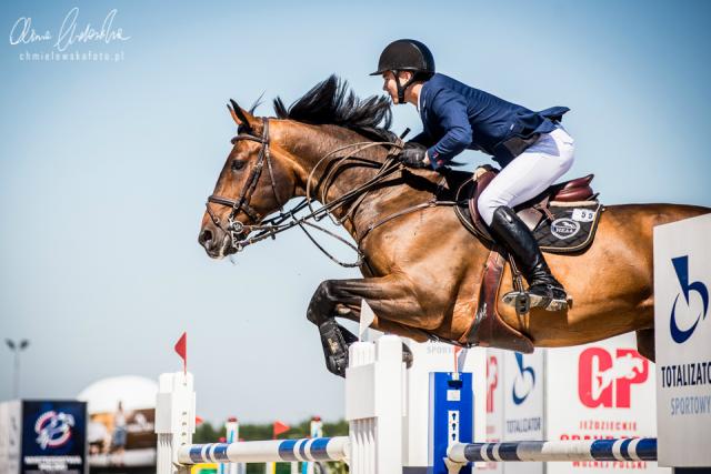 Wpis equinephoto
