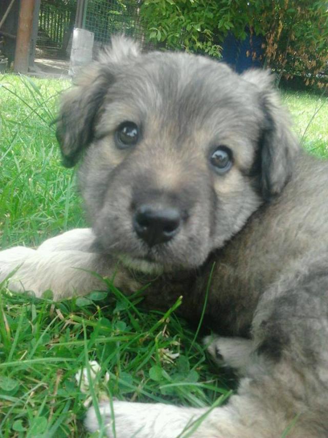 Kochanie moje :* 