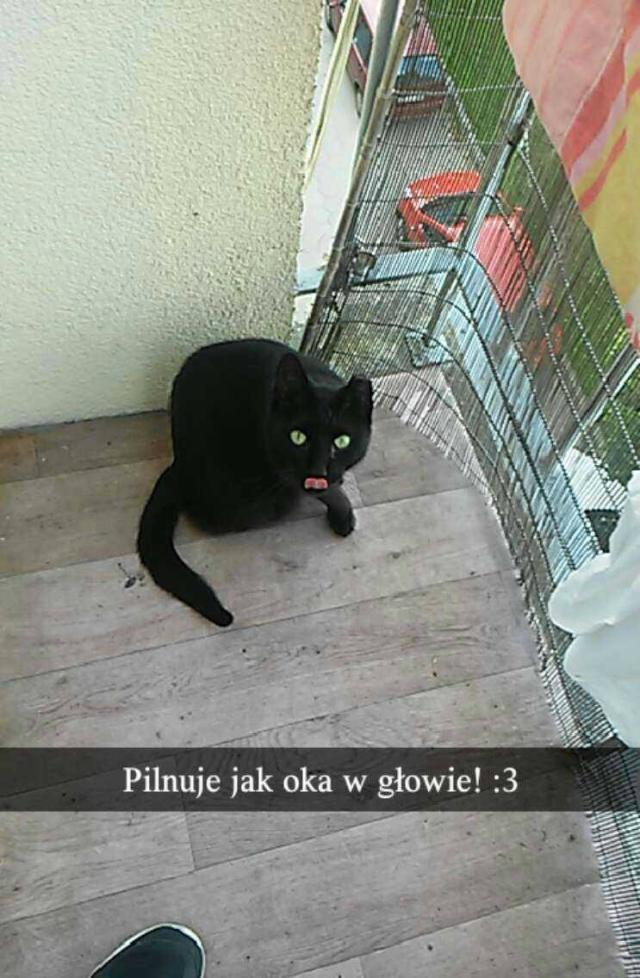 Wpis isitgood