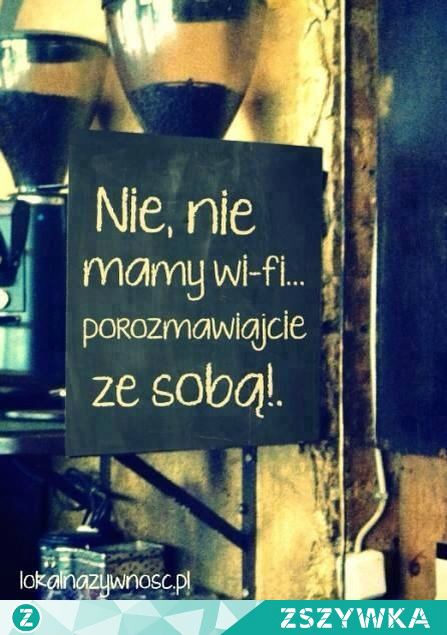 Cytaty.