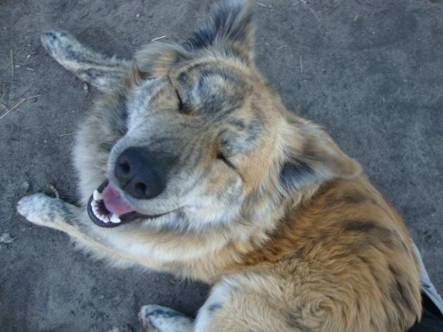 Zaciesz :D