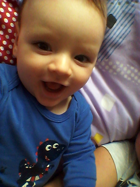 Wpis claudusiiaa