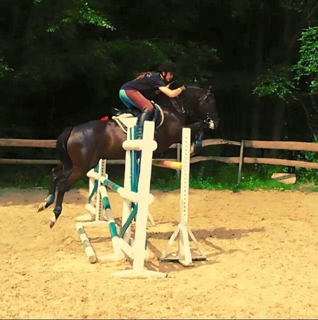 Wpis paula1998camel