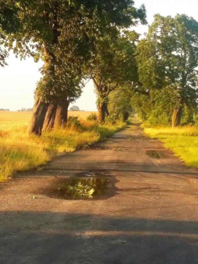 moje miejsce na Ziemii..