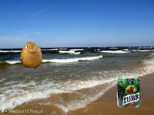 Ziemniak apie fale!