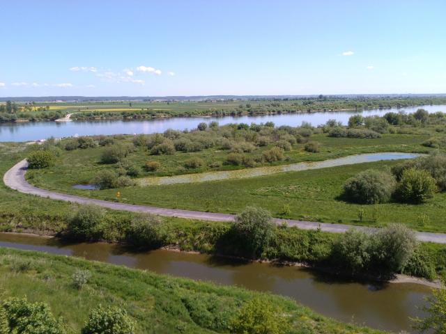 Wisa. Widok z Gniewu.