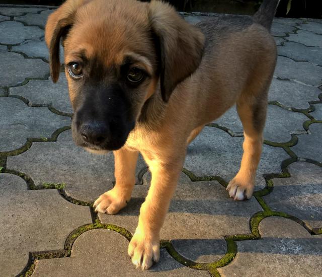 Max :)