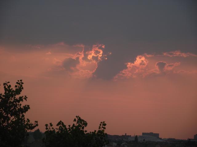 Pozna