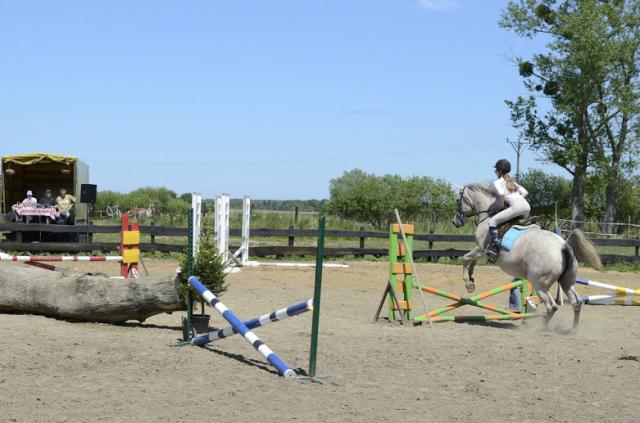 Wpis klaudia4925297