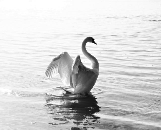 Wpis photographycf13