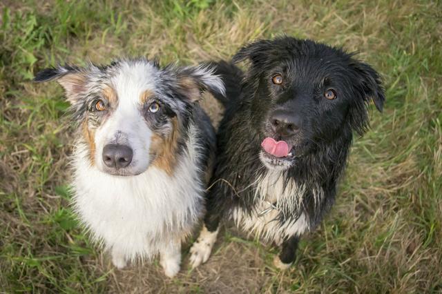 Sisters