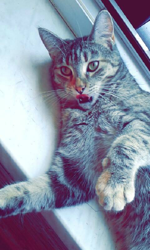 Kicia ;)