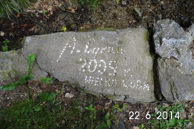 Spontanicznie wyryta 