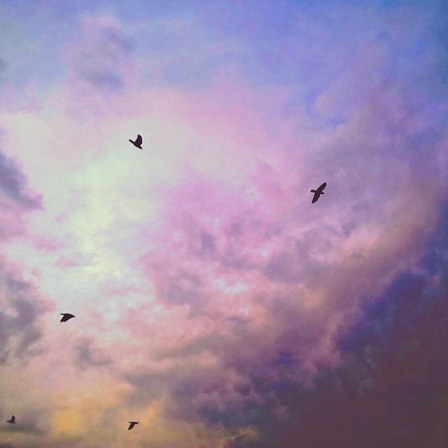 Wpis iwillflysomeday