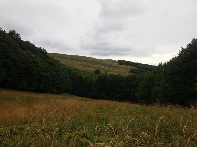 Bieszczady.