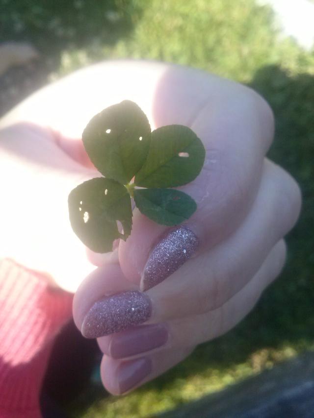 four-leaf clover