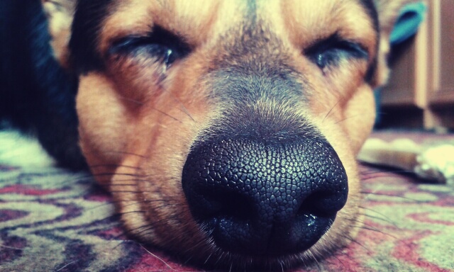 Wpis xeena93
