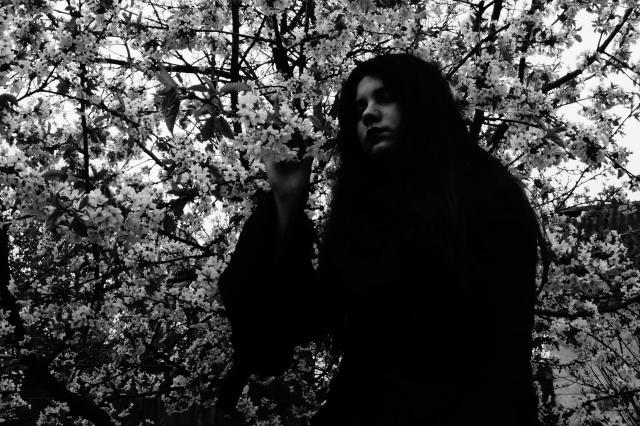 Wpis queenofdark