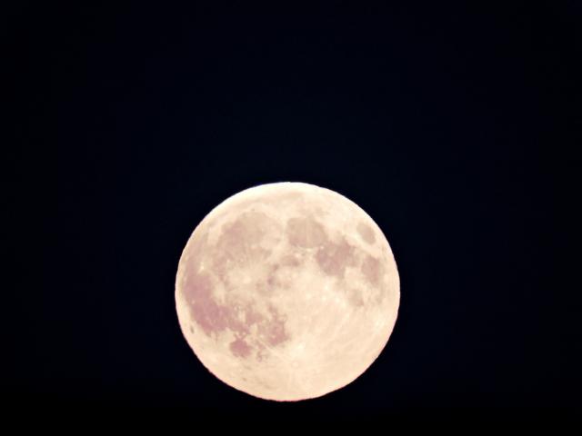 I LOVE U TO THE MOON & BACK