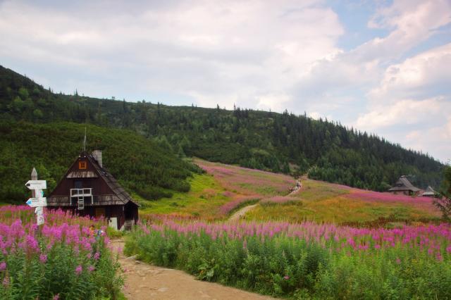 Landscape