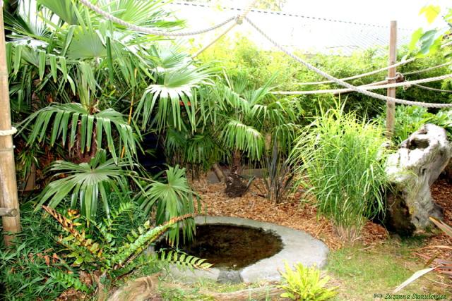 Jungle!