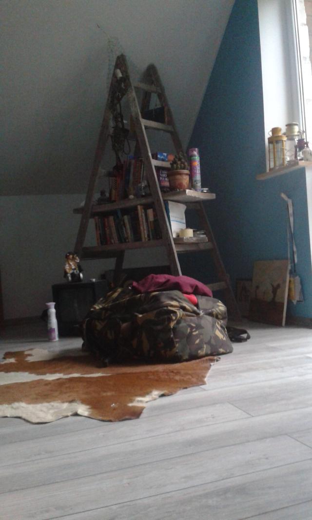 Wpis cungallunga