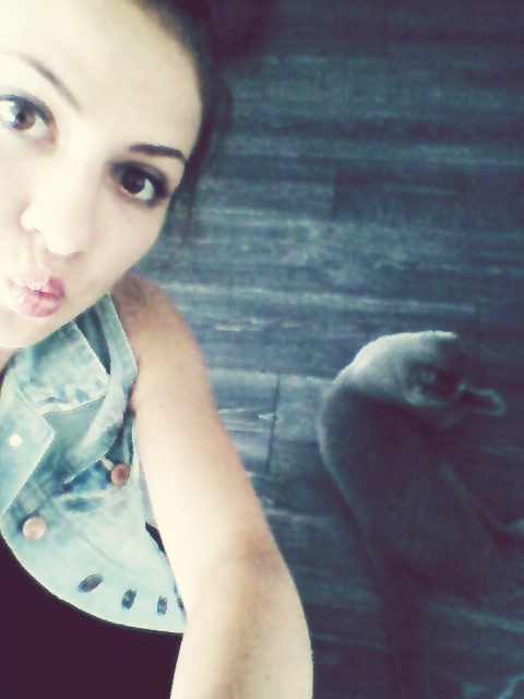 Wpis nolovenoyouu