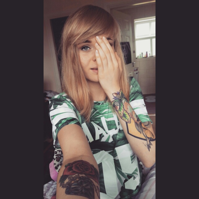 Wpis dangersisia