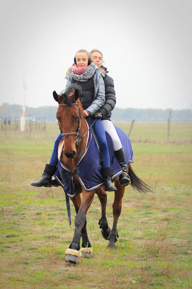 Hubertus 2014