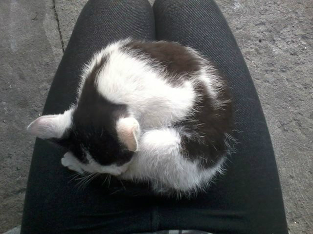 Niedugo.
