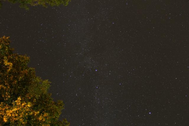 Stars