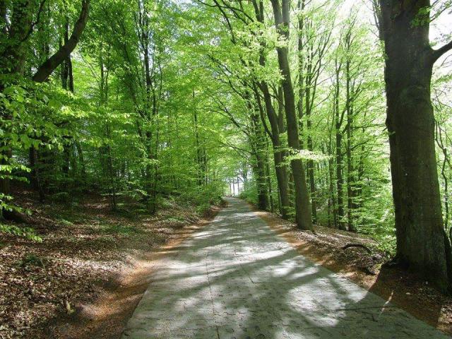 Wpis aalollek