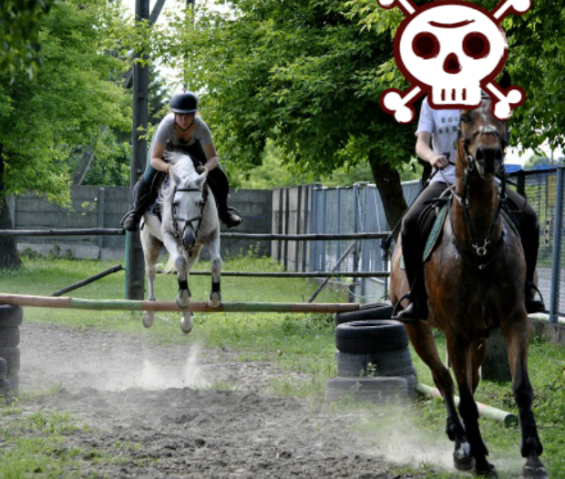 Szportpony