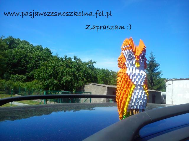 Wpis pasjawczesnoszkolna
