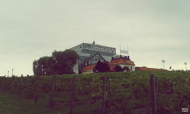czwartek, 24 wrzenia 2015