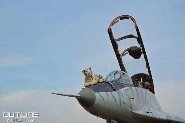 Wpis raaf115