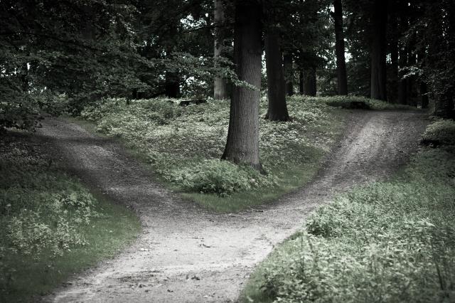 Stwierdzam   .