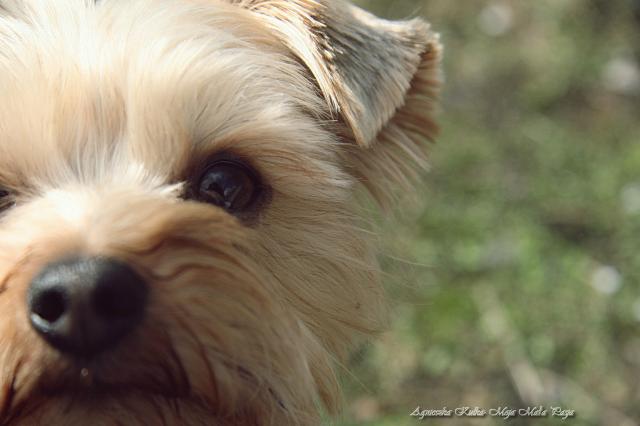 Rasti :)