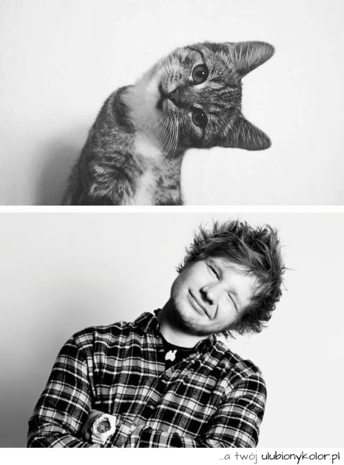 Wpis weeaakmind